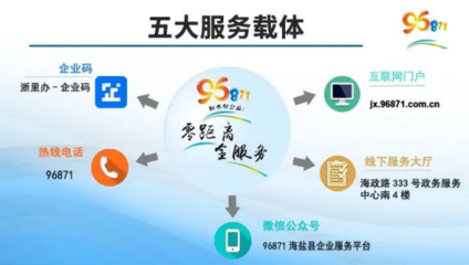 浙江海盐 数字化支付赋能惠企政策“一站式”服务软件开发